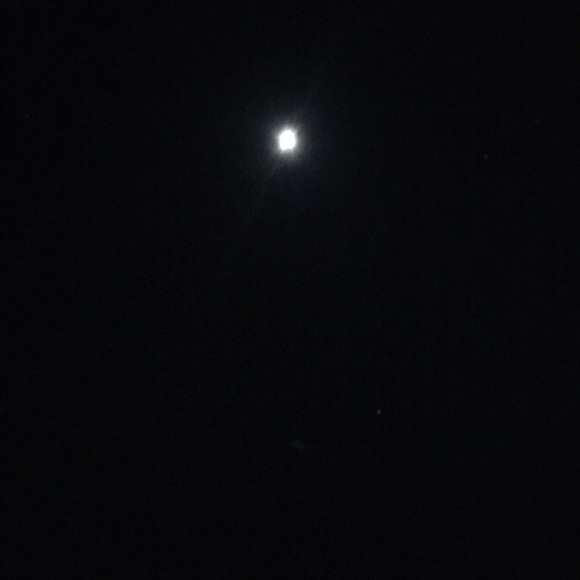 Meet your Posher, Connie - Picture 5 of 5